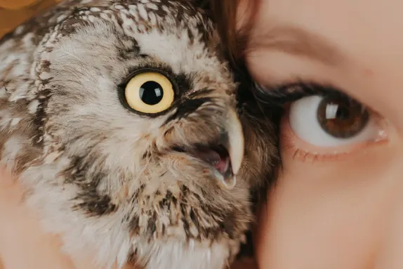 كازينو لوكو وين الدعم